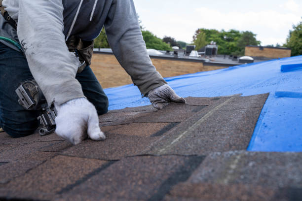 Best Roof Maintenance Services  in Augusta, WI