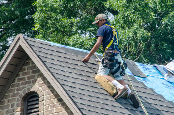 Best Flat Roof Repair Services  in Augusta, WI